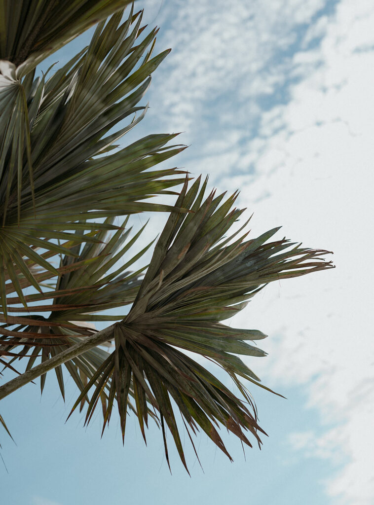mexico elopement photographer